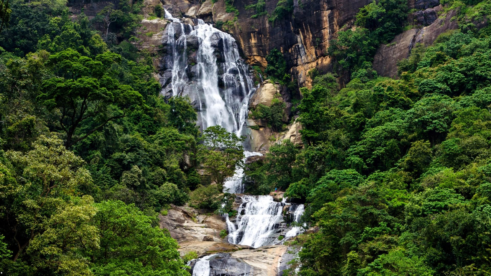 15 Days in Serendipity — Discover the Heart of Sri Lanka